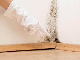 Best Basement Mold Removal  in Lost Hills, CA